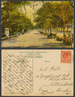 Delcampe - Gibraltar KE7 1d 1907 Old Postcard The Alameda Gardens Saloon, Tree-Lined Street - Gibraltar