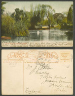 Delcampe - Australia 1906 Old Color Postcard Adelaide In The Botanic Gardens Lake Swan Bird - Autres & Non Classés