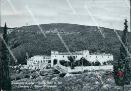 Delcampe - Bg539 Cartolina Piedimonte D'alife Monte Muto Conv. S.maria Occorrevole Caserta - Caserta