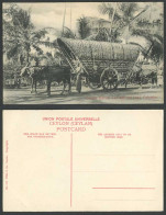 Delcampe - Ceylon Old Postcard Double Bullock Cart With Full Load Street Natives Palm Trees - Sri Lanka (Ceylon)
