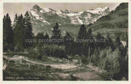 Delcampe - Seelisberg UR Gitschen Uristock Wald Alm Zaun - Other & Unclassified