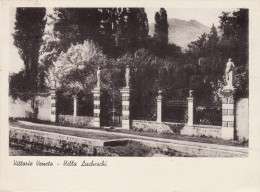 Delcampe - # VITTORIO VENETO: VILLA LUCHESCHI 1956 - Treviso