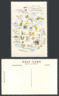 Delcampe - Ceylon Pictorial MAP Old Hand Tinted Postcard Colombo Jaffna Galle Elephant Fish - Sri Lanka (Ceylon)