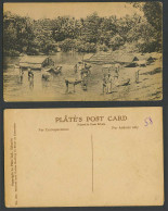 Delcampe - Ceylon Old Postcard Natives & Cattle Bathing In River Colombo Houseboats Bathers - Sri Lanka (Ceylon)