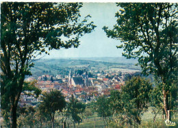 Delcampe - Cpsm - Saint Julien Du Sault - Vue Générale   AJ 1119 - Saint Julien Du Sault