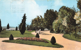 Delcampe - 44 ANCENIS LE JARDIN PUBLIC - Ancenis