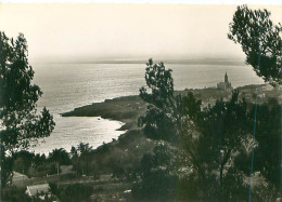 Delcampe - Cpsm - Sete - Coucher De Soleil Sur La Corniche       AJ 1124 - Sete (Cette)
