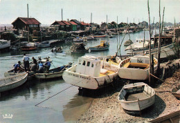 Delcampe - 17 LA TREMBLADE LE PORT - La Tremblade