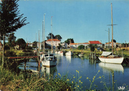 Delcampe - 17 LA TREMBLADE LE PORT - La Tremblade