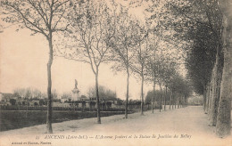 Delcampe - 44 ANCENIS L AVENUE JOUBERT - Ancenis