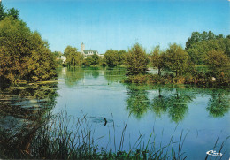 Delcampe - 80 PERONNE LES ETANGS - Peronne
