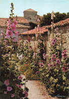 Delcampe - 85 TALMONT RUE FLUERIE ET L EGLISE - Talmont Saint Hilaire