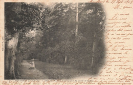 Delcampe - 21 MONTBARD L ALLEE DES PLATANES - Montbard