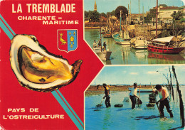 Delcampe - 17  LA TREMBLADE - La Tremblade