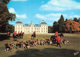 Delcampe - 41  CHEVERNY LE CHÂTEAU - Cheverny