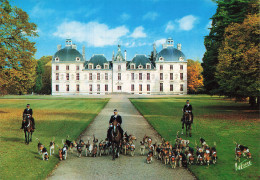 Delcampe - 41  CHEVERNY LE CHÂTEAU - Cheverny