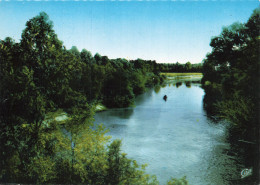 Delcampe - 51  VITRY LE FRANCOIS LA MARNE - Vitry-le-François