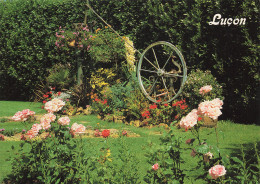 Delcampe - 85 LUCON LE JARDIN DUMAINE - Lucon