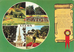 Delcampe - 85 LUCON - Lucon
