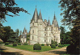 Delcampe - 58  POUILLY SUR LOIRE LE CHÂTEAU - Pouilly Sur Loire