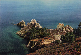 Delcampe - 29 MORGAT L ILE VIERGE - Morgat
