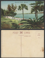 Delcampe - Bermuda Old Colour Postcard Harrington Sound Road Palm Trees Bermuda Drug Co 166 - Bermuda