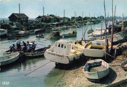 Delcampe - 17  LA TREMBLADE LE PORT - La Tremblade