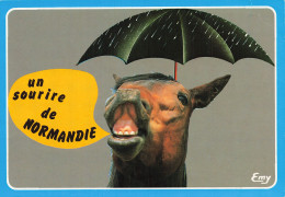 Delcampe - 27  NORMANDIE - Autres & Non Classés