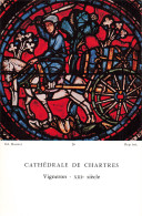 Delcampe - 28  CHARTRES LA CATHEDRALE UN VIGNERON - Chartres