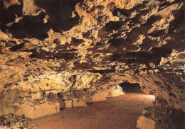 Delcampe - 28  CHATEAUDUN LES GROTTES DU FOULON - Chateaudun
