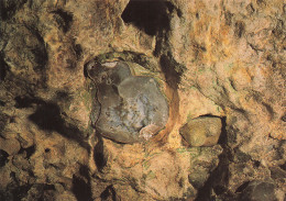 Delcampe - 28  CHATEAUDUN LES GROTTES DU FOULON - Chateaudun