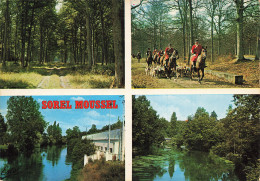 Delcampe - 28  SOREL MOUSSEL - Sorel-Moussel