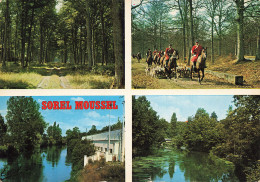 Delcampe - 28  SOREL MOUSSEL - Sorel-Moussel