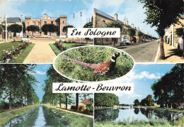 Delcampe - 41  LAMOTTE BEUVRON - Lamotte Beuvron