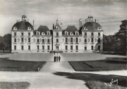 Delcampe - 41  CHEVERNY LE CHÂTEAU - Cheverny