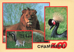 Delcampe - 50 VILLEDIEU LES POELES LE ZOO - Villedieu