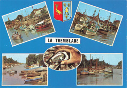 Delcampe - 17  LA TREMBLADE - La Tremblade