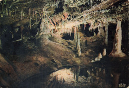 Delcampe - 46  LACAVE LES GROTTES - Lacave