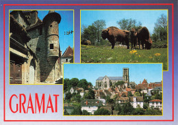 Delcampe - 46  GRAMAT - Gramat