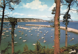 Delcampe - 29 MORGAT LE PORT - Morgat