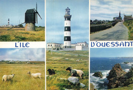 Delcampe - 29 L ILE D OUESSANT - Ouessant
