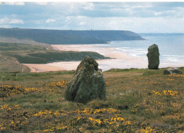 Delcampe - 29 PRESQU ILE DE CROZON LES ALIGNEMENTS MEGALITHIQUES - Crozon