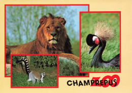 Delcampe - 50 VILLEDIEU LES POELES CHAMPREPUS LE PARC ZOOLOGIQUE - Villedieu