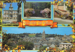 Delcampe - 50 VILLEDIEU LES POELES - Villedieu