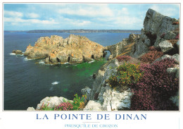 Delcampe - 29 PRESQU ILE DE CROZON A POINTE DE DINAN - Crozon