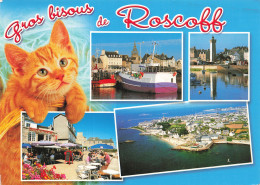 Delcampe - 29 ROSCOFF - Roscoff