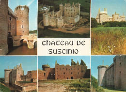 Delcampe - 56 SARZEAU LE CHÂTEAU DE SUSCINIO - Sarzeau