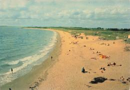 Delcampe - 56 SAINT GILDAS DE RHUYS LA PLAGE DES GOVELINS - Sarzeau