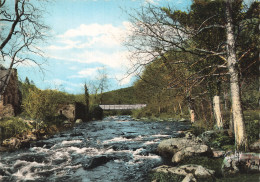 Delcampe - 56 LE FAOUET LE GRAND PONT - Le Faouet