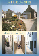 Delcampe - 29 L ILE DE SEIN - Ile De Sein